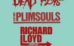Image for Dead Boys, The Plimsouls and The Richard Lloyd Group