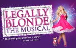 Image for Legally Blonde: The Musical