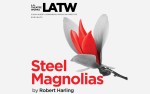 Image for STEEL MAGNOLIAS